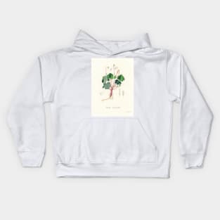 Common Wood-sorrel - Botanical Illustration Kids Hoodie